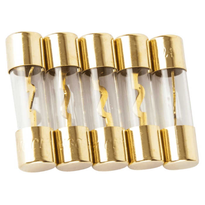 Запобіжники Phantom AGU100 (комплект 5 шт)