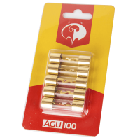 Предохранители Phantom AGU100 (комплект 5 шт)