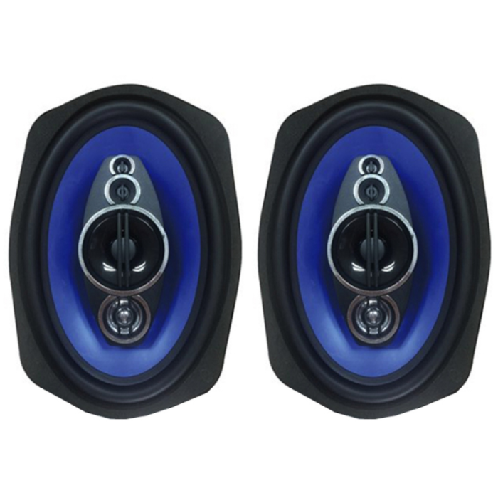 Автоакустика Celsior CS-6905P