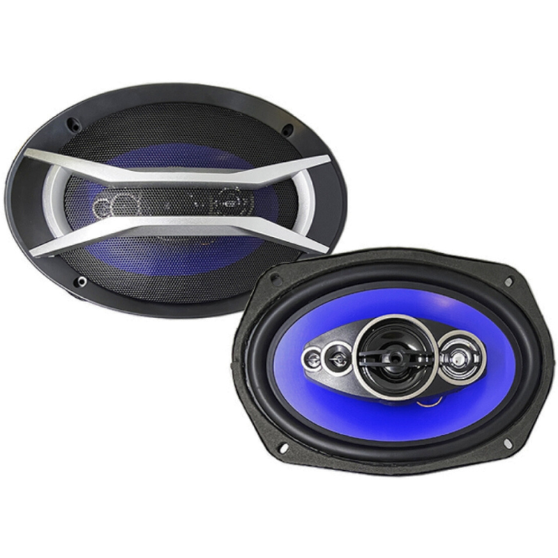 Автоакустика Celsior CS-6905P