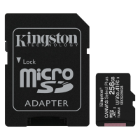 Карта памяти microsd Kingston microSDXC 256Gb Canvas Select Plus с переходником